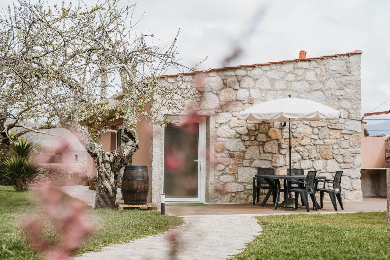 Forno House - Ameixoeira Vila Praia de Âncora Exterior foto